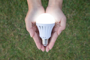 Your Green Guide: The Latest Sustainable Home Trends and Design