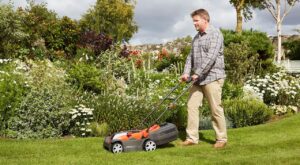 How Often Should You Mow Your Lawn? A Basic Guide