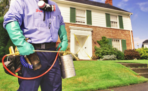 Things That You Should Know About Residential Pest Control