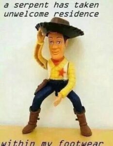 Toy Story Meme